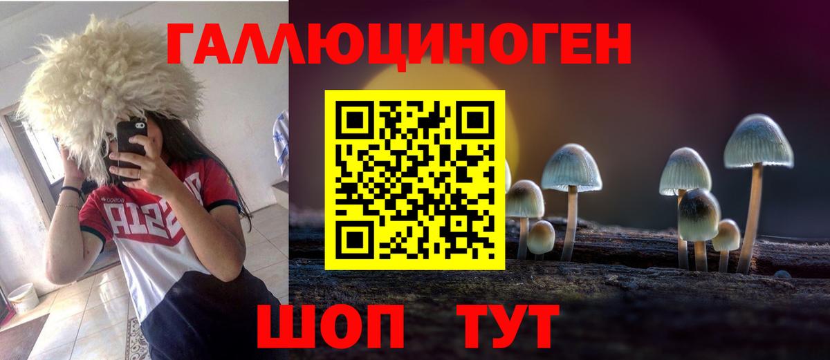 Псилоцибиновые грибы Красноармейск