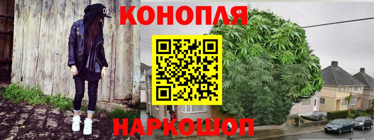 Марихуана White Widow Красноармейск